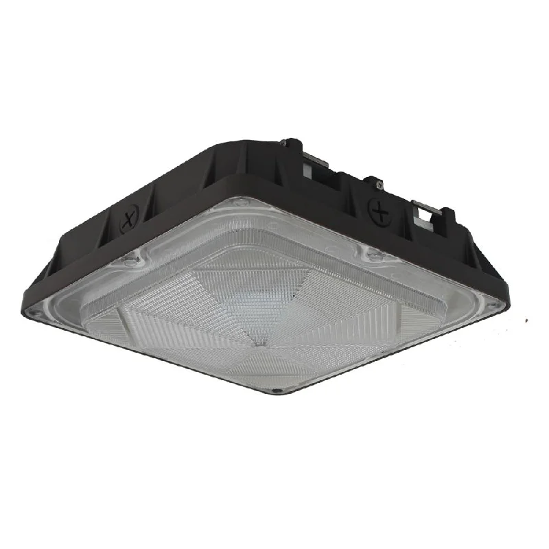 Howard Lighting LED Canopy Light - 44W - 4,948 Lumens - 5000K - 120-277V - 100W Equal